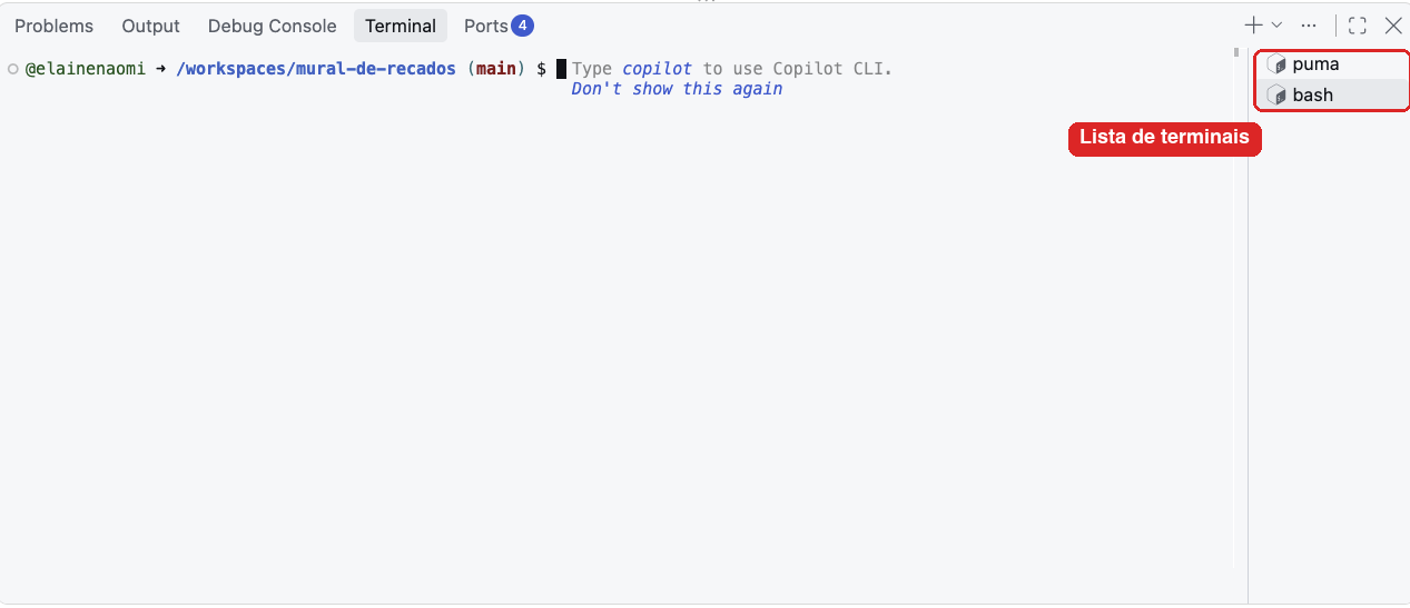 Terminal novo aberto, com a lista de terminais à direita destacada: puma e bash